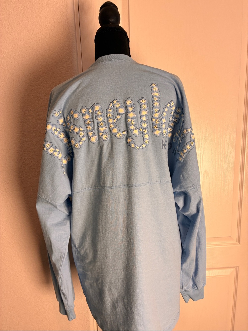 Disneyland Light Blue Long Sleeve Graphic Tee Floral